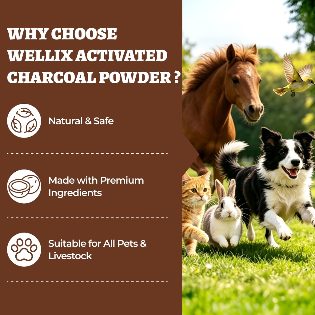 wellix-activated-charcoal-powder-for-dog-6.jpg