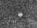 activated-charcoal-granules-for-moonshin-2.jpg