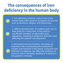 iron-deficiency-anemia-home-test-kit-hig-5.jpg