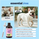 taily-aminopets-liquid-iron-supplements--2.jpg
