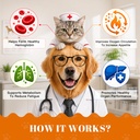 10-in-1-liquid-iron-supplement-for-pets--6.jpg