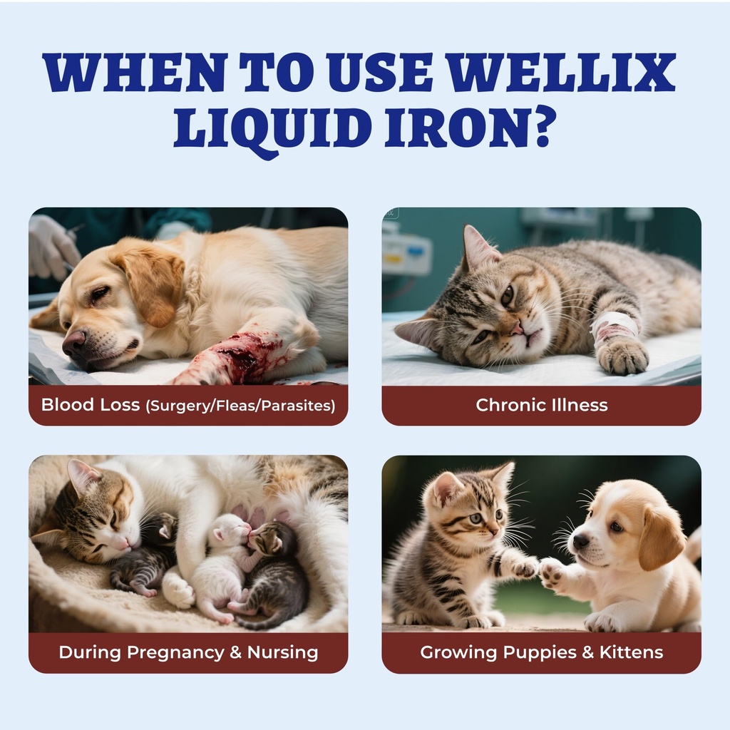 4oz-liquid-iron-supplement-for-cats-dogs-4.jpg