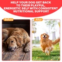 iron-supplement-for-dogs-supports-blood--5.jpg