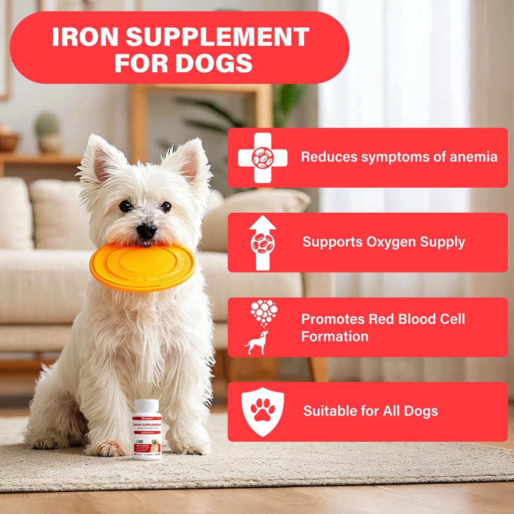 iron-supplement-for-dogs-supports-blood--2.jpg