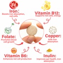 iron-supplement-for-dogs-supports-blood--4.jpg