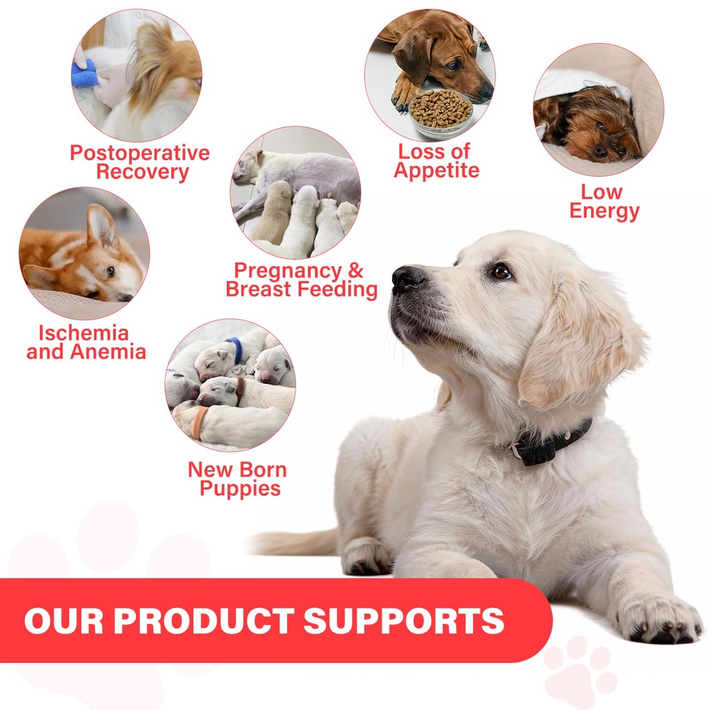 iron-supplement-for-dogs-supports-blood--3.jpg
