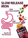 iron-supplement-for-women-men-high-poten-4.jpg