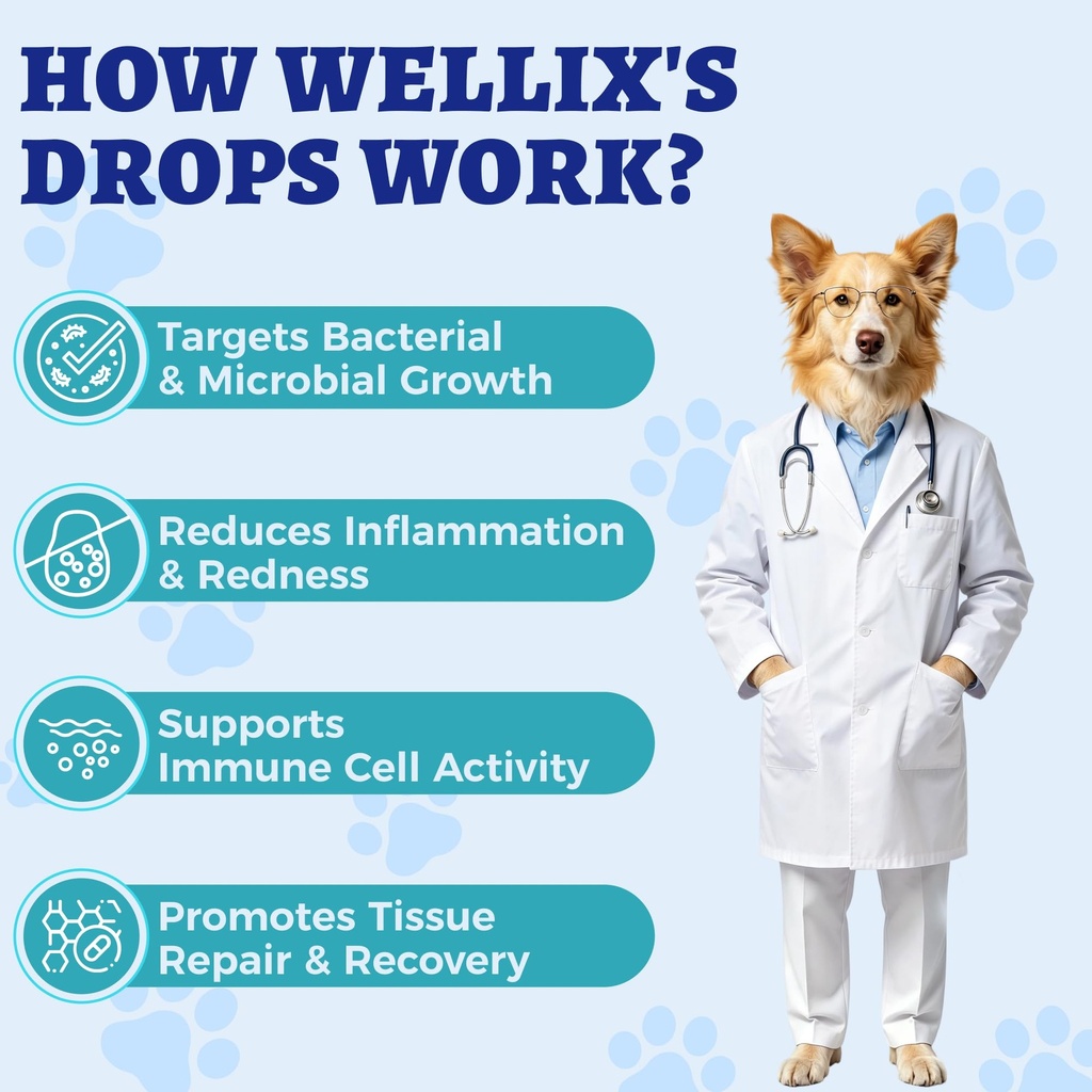 wellix-120ml-natural-antibiotics-for-cat-5.jpg