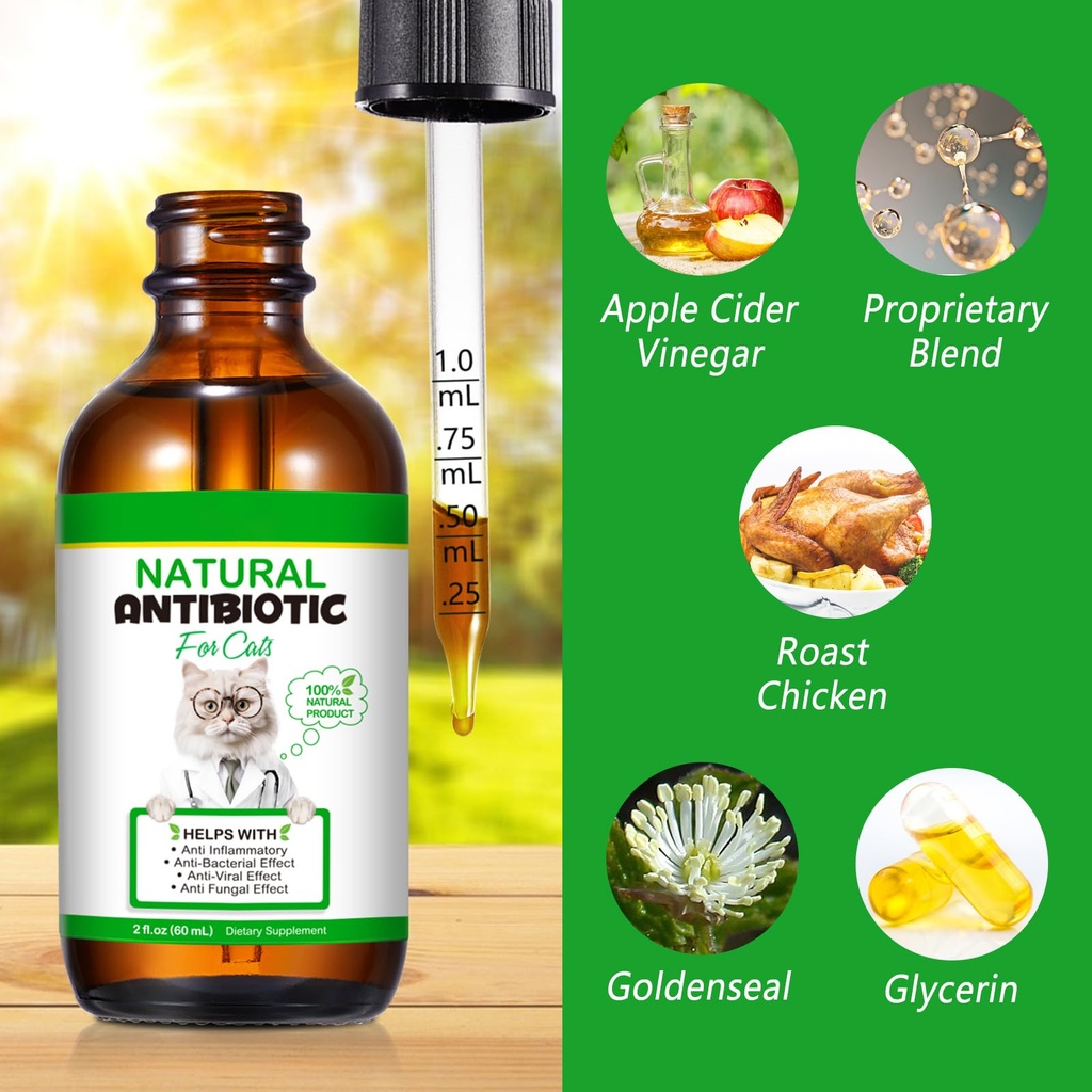 vosifsdiy-cat-antibiotics-antibiotics-fo-3.jpg
