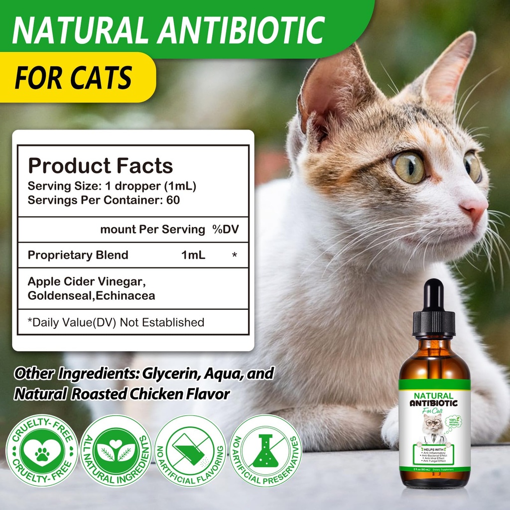 vosifsdiy-cat-antibiotics-antibiotics-fo-4.jpg