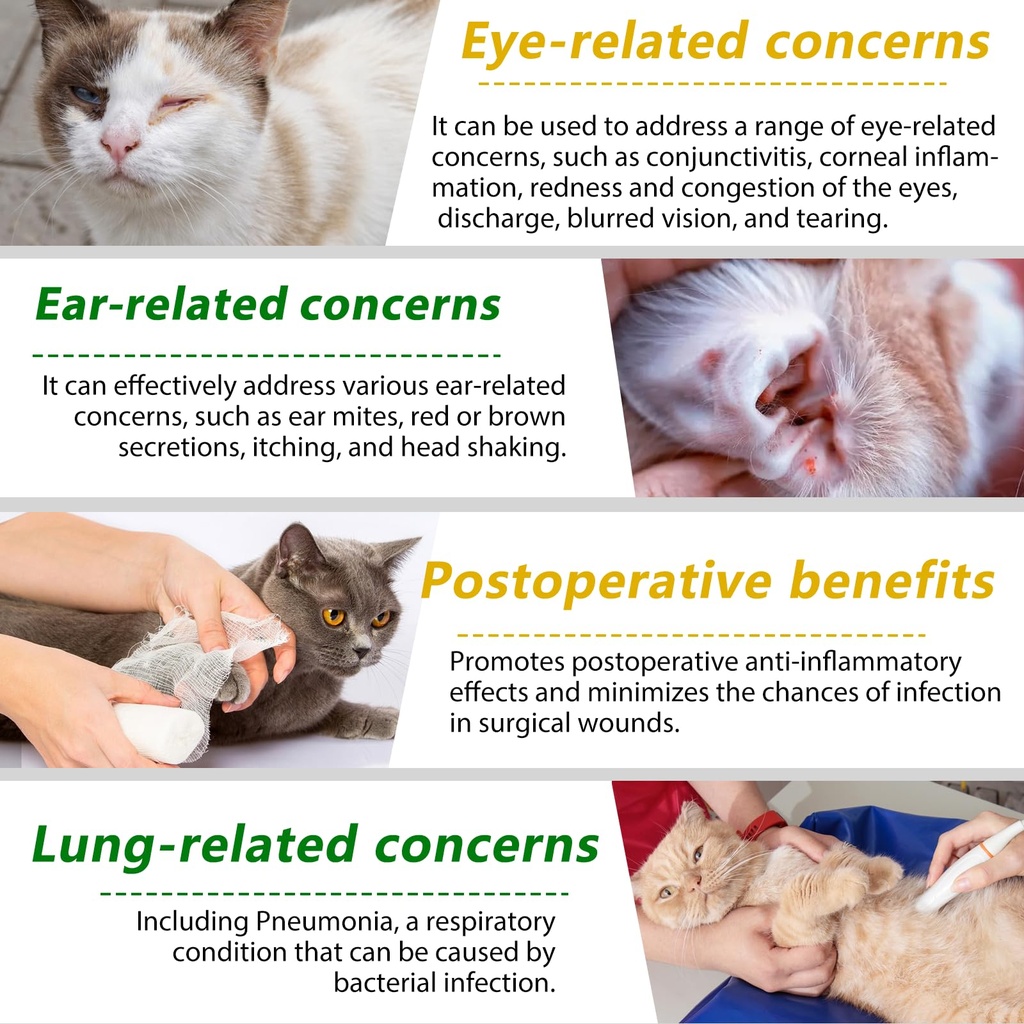 vosifsdiy-cat-antibiotics-antibiotics-fo-5.jpg