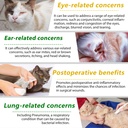 vosifsdiy-cat-antibiotics-antibiotics-fo-5.jpg
