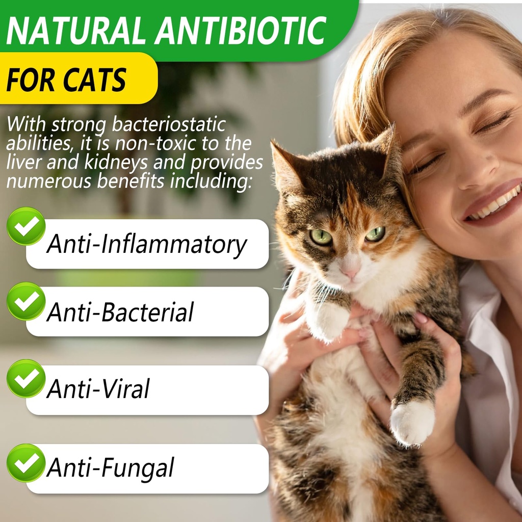 vosifsdiy-cat-antibiotics-antibiotics-fo-2.jpg