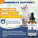 l-lysine-for-cats-immune-respiratory-eye-3.jpg