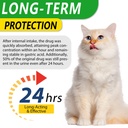 natural-antibiotics-for-cats-antibiotic--2.jpg