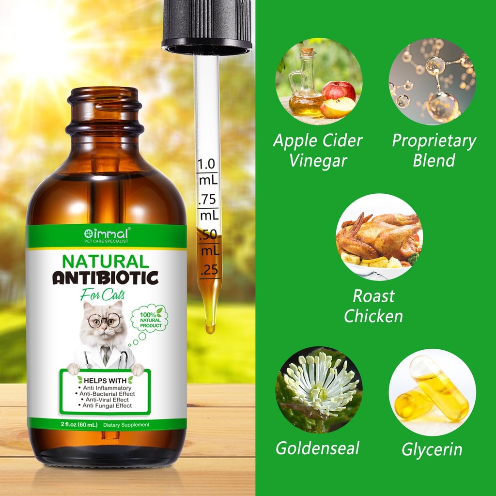 natural-antibiotics-for-cats-antibiotic--3.jpg