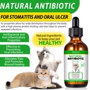 natural-antibiotics-for-cats-antibiotic--5.jpg