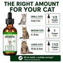 natural-antibiotics-for-cats-pet-antibio-3.jpg