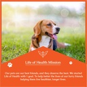natural-antibiotics-for-dogs-dog-antibio-5.jpg
