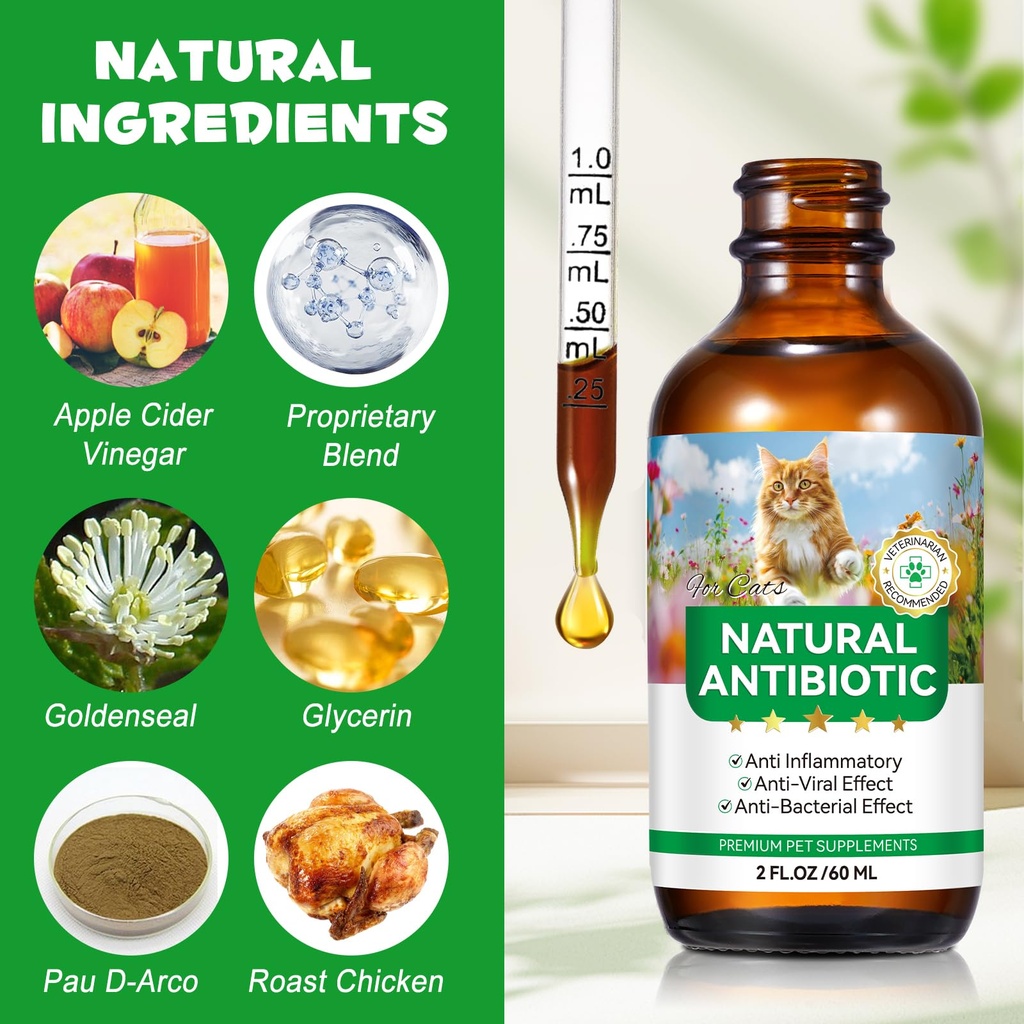antibiotics-for-cats-natural-antibiotic--2.jpg