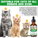 antibiotics-for-cats-natural-antibiotic--5.jpg