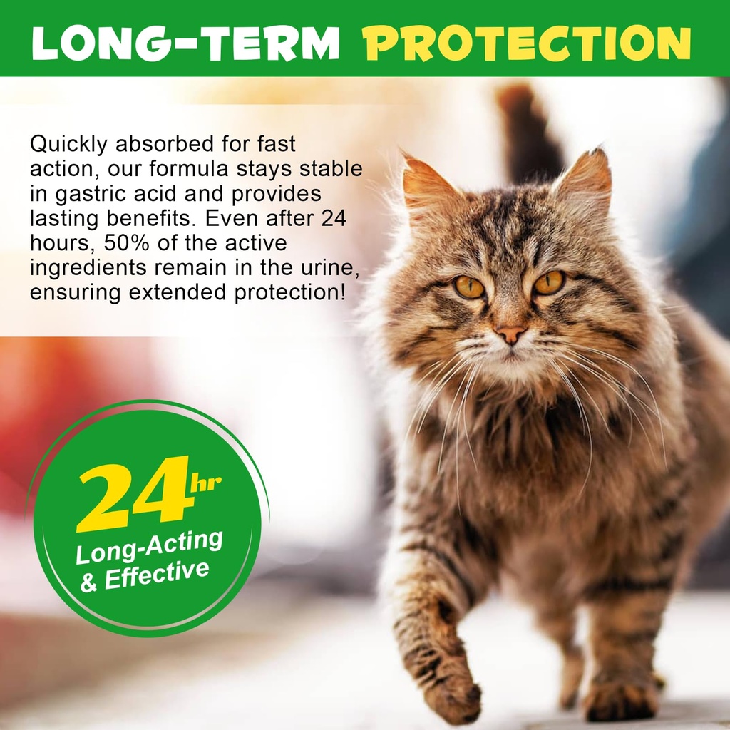 antibiotics-for-cats-natural-antibiotic--4.jpg