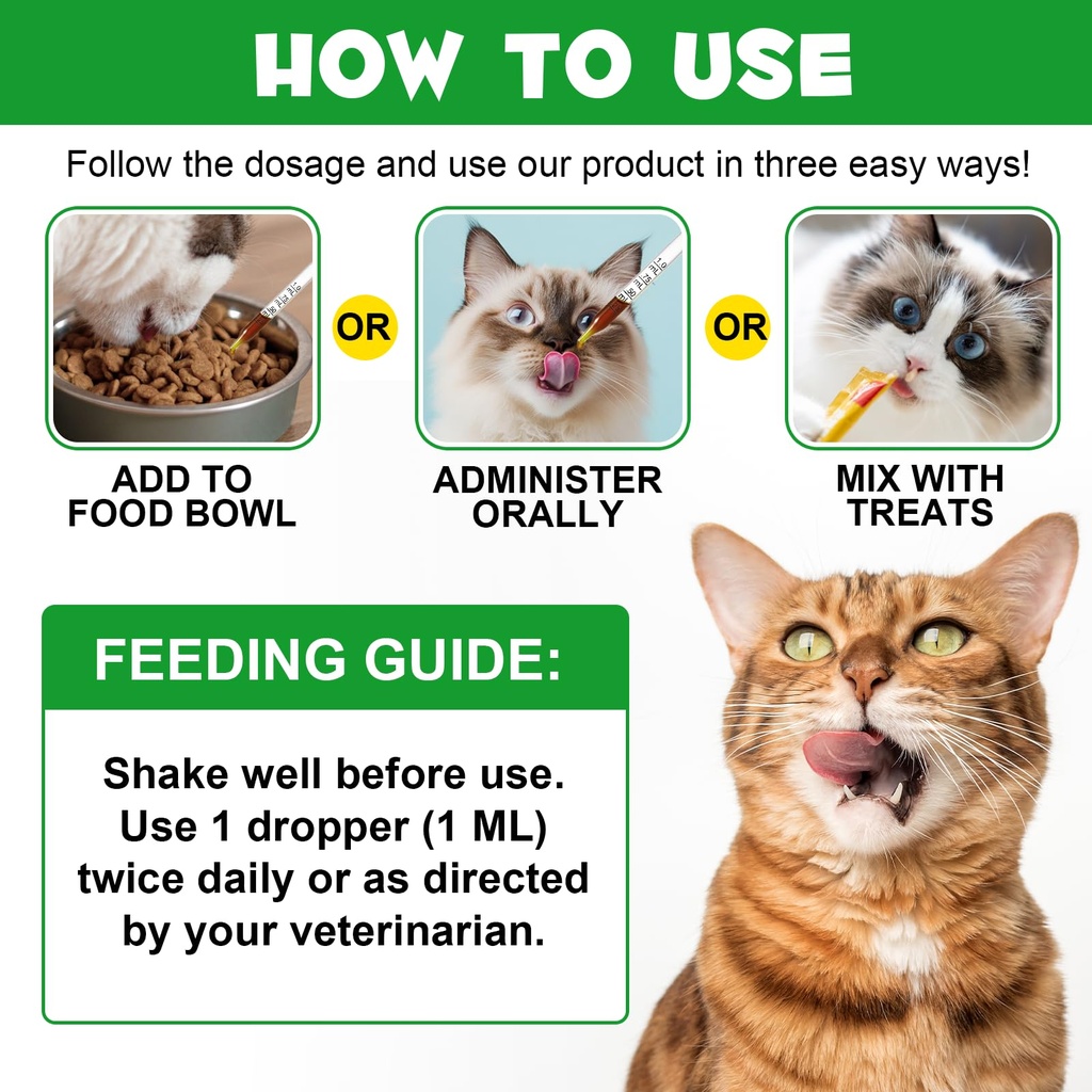 antibiotics-for-cats-natural-antibiotic--6.jpg