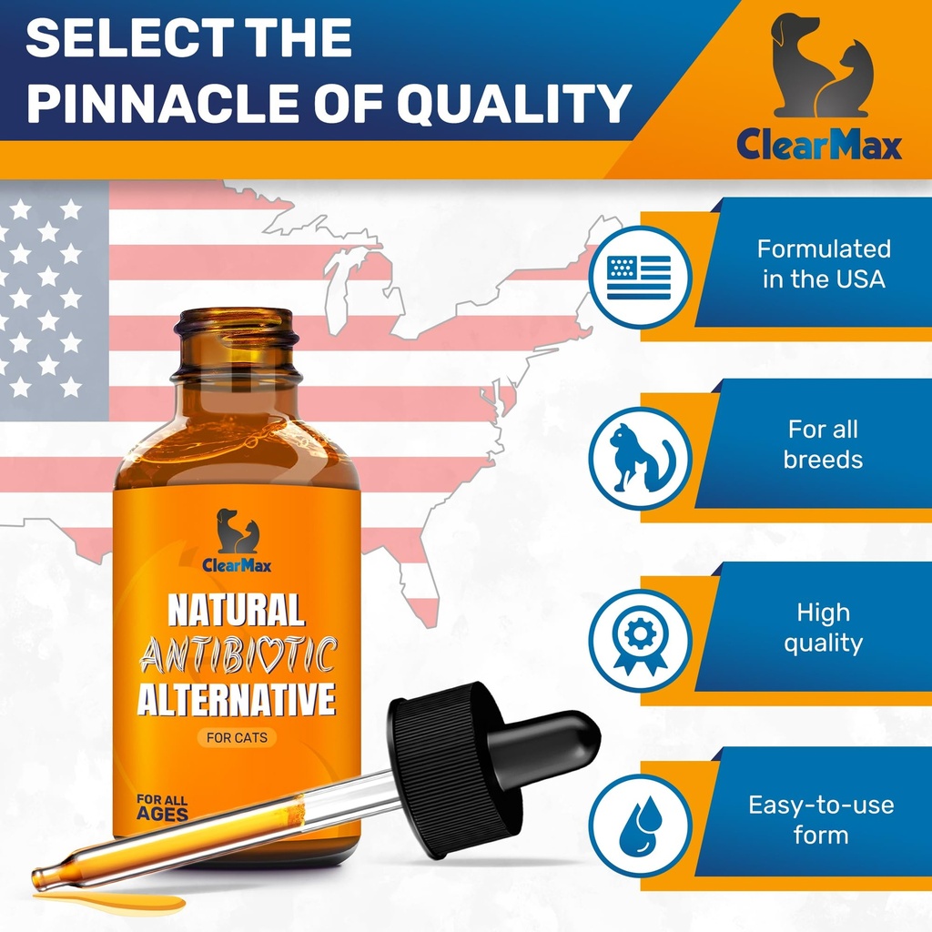 cat-antibiotic-for-cough-allergies-utis--6.jpg