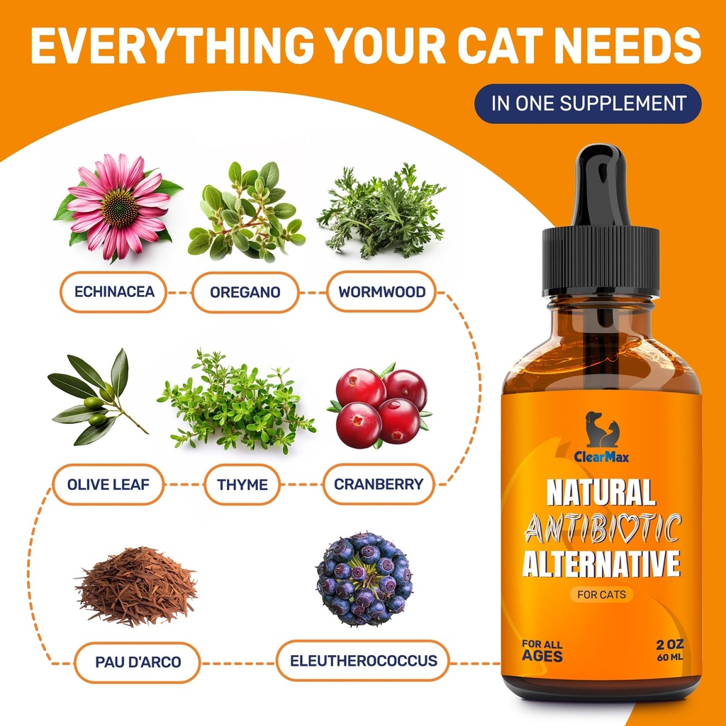 cat-antibiotic-for-cough-allergies-utis--2.jpg