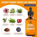cat-antibiotic-for-cough-allergies-utis--2.jpg