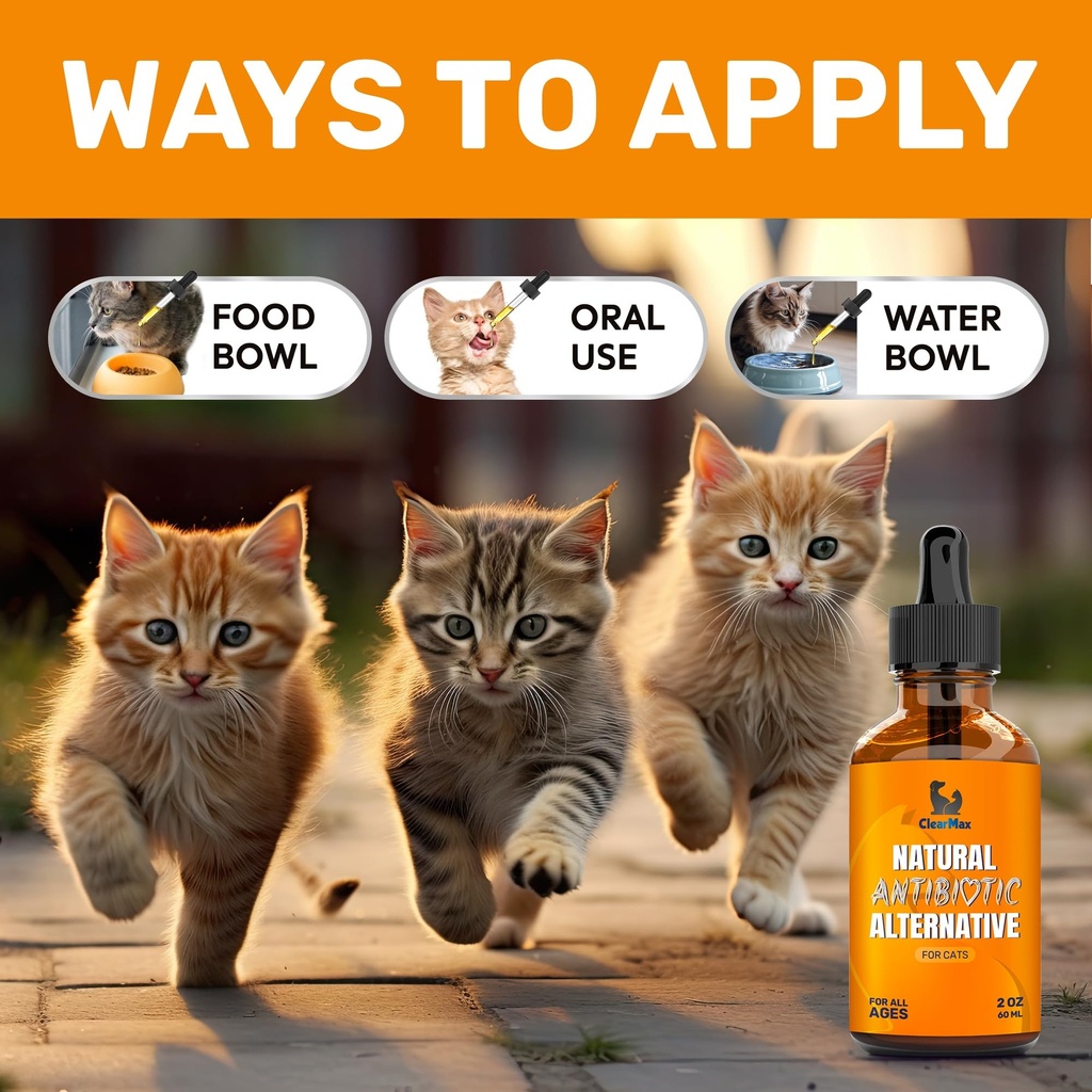 cat-antibiotic-for-cough-allergies-utis--4.jpg