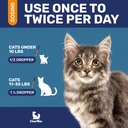 cat-antibiotic-for-cough-allergies-utis--5.jpg