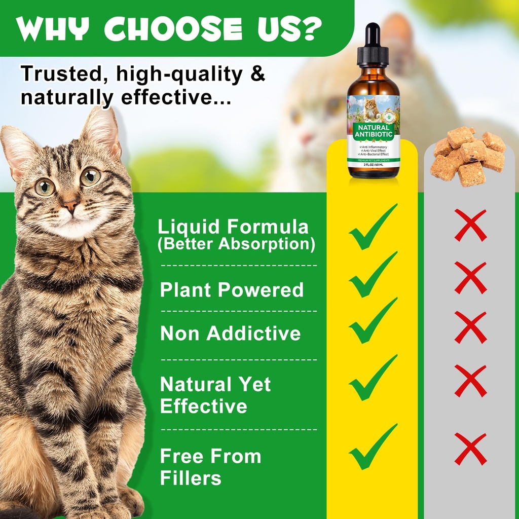 antibiotics-for-cats-natural-antibiotics-3.jpg