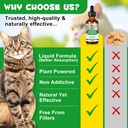 antibiotics-for-cats-natural-antibiotics-3.jpg