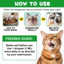 antibiotics-for-cats-natural-antibiotics-5.jpg