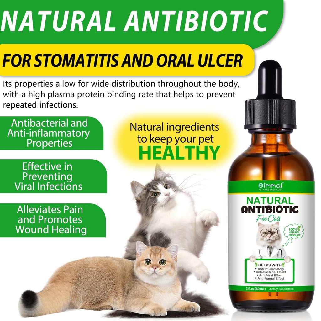 antibiotics-for-cats-cat-antibiotics-for-3.jpg