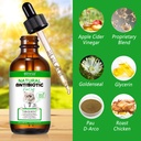 antibiotics-for-cats-cat-antibiotics-for-4.jpg