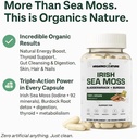 organics-nature-irish-sea-moss-capsules--4.jpg