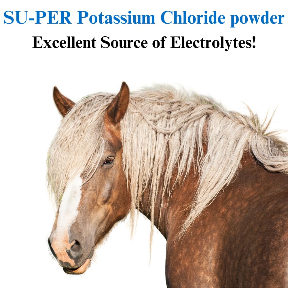 su-per-potassium-chloride-horse-electrol-3.jpg
