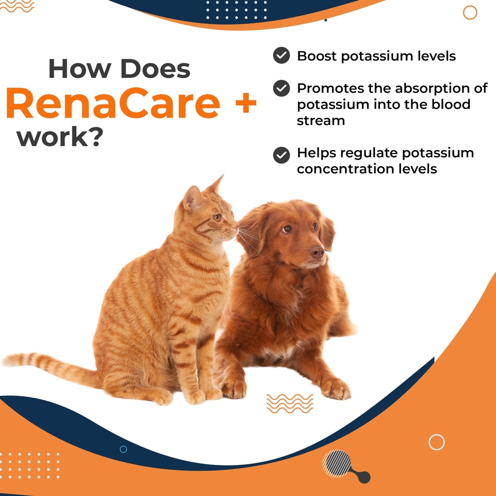 renacare-k-is-for-renal-k-potassium-gluc-4.jpg