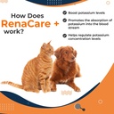 renacare-k-is-for-renal-k-potassium-gluc-3.jpg