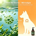vegan-algae-oil-for-dogs-cats-omega-3-ep-3.jpg