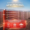 naturalis-new-zealand-astaxanthin-6mg-90-5.jpg