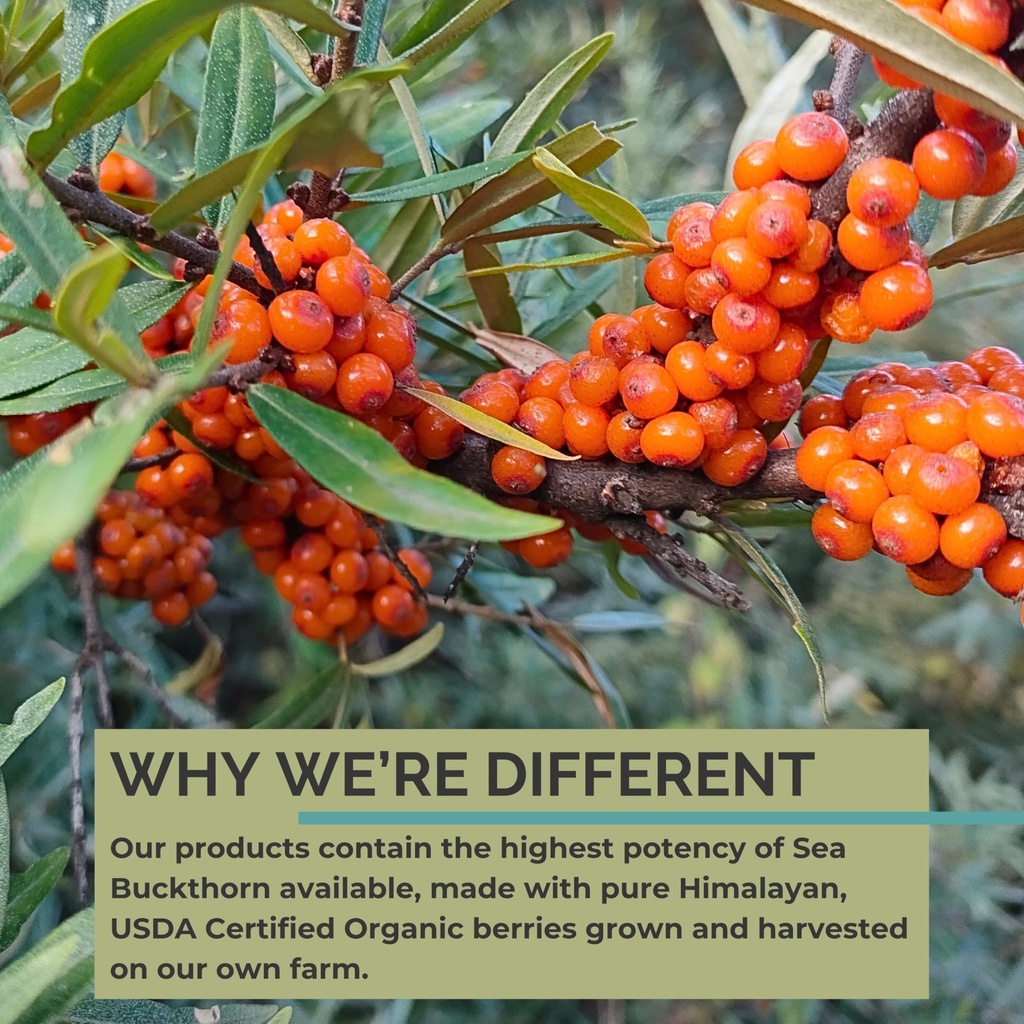 organic-sea-buckthorn-seed-oil-120-softg-5.jpg