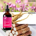 mountain-meadow-herbs-mom-s-adrenal-aid--5.jpg