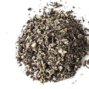 smoke-camp-crafts-black-cohosh-root-cimi-3.jpg