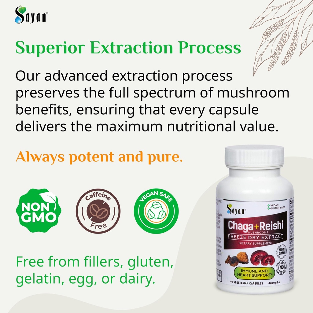 chaga-and-natural-reishi-mushroom-capsul-3.jpg