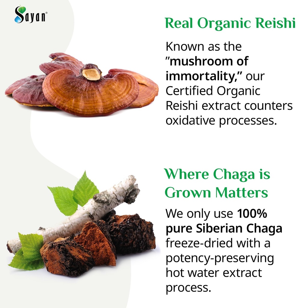 chaga-and-natural-reishi-mushroom-capsul-4.jpg