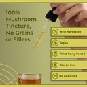 chaga-mushroom-liquid-tincture-supplemen-6.jpg