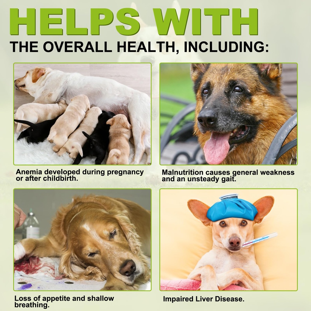milk-thistle-for-dogs-milk-thistle-suppl-4.jpg